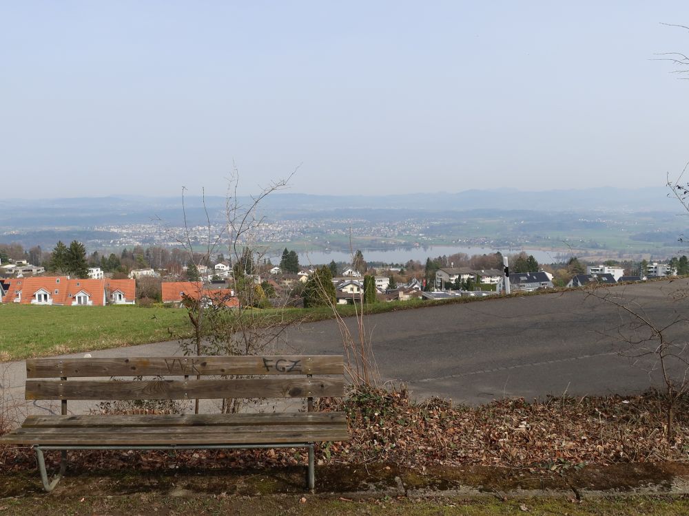 Forch und Greifensee