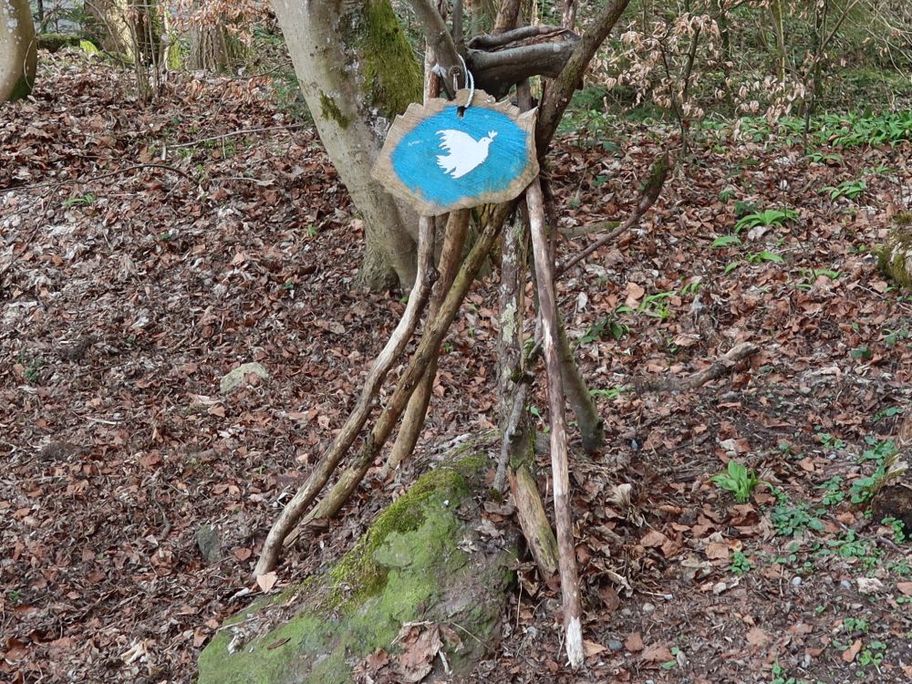 Freidenstaube