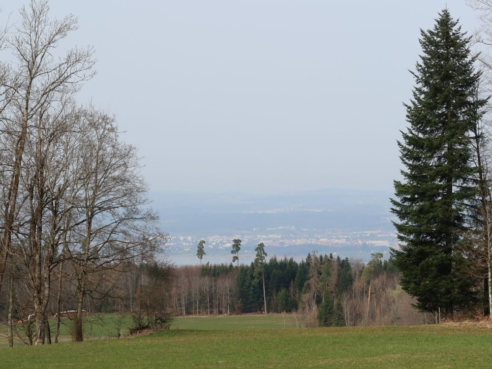 Blick zum Greifensee