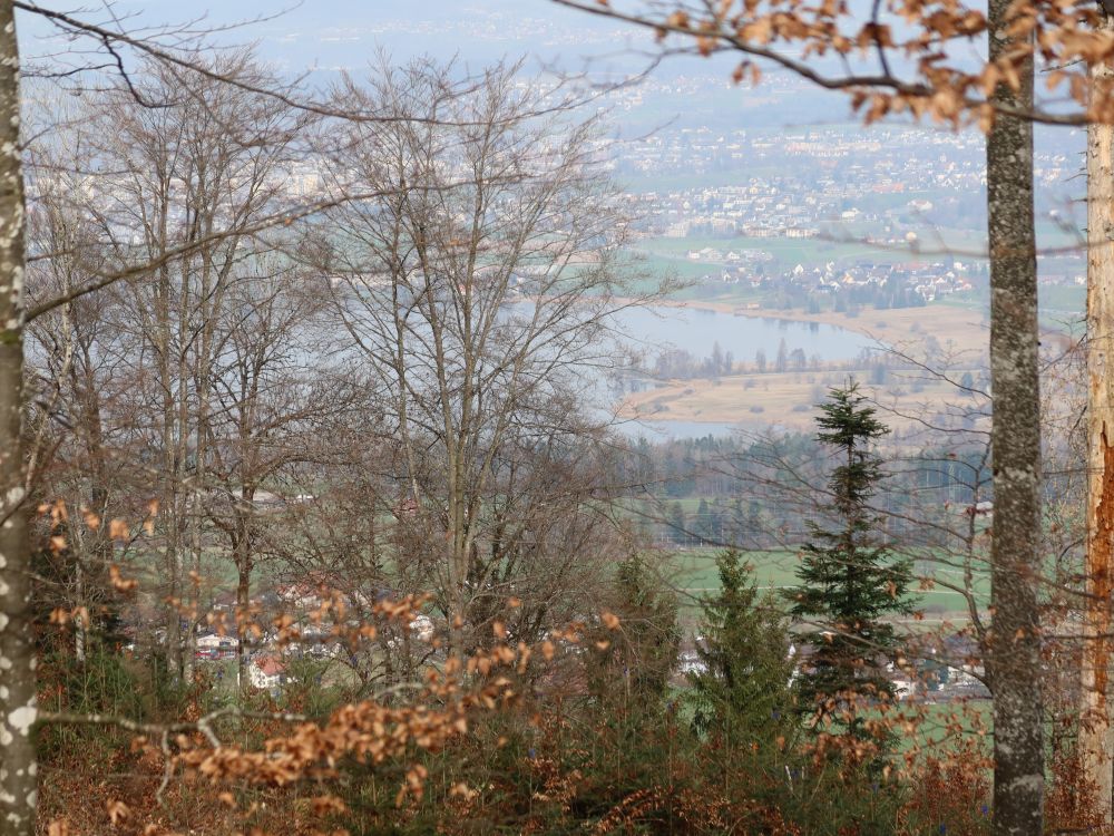 Blick zum Greifensee