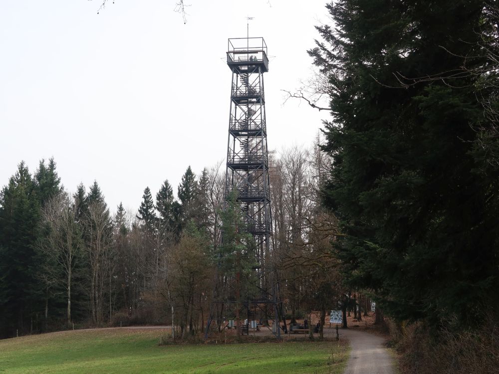 Aussichtsturm Pfannenstiel