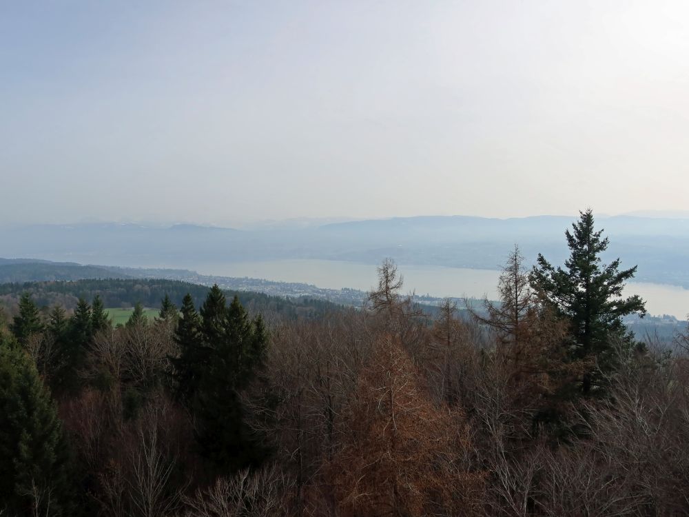 Blick zum Zürichsee