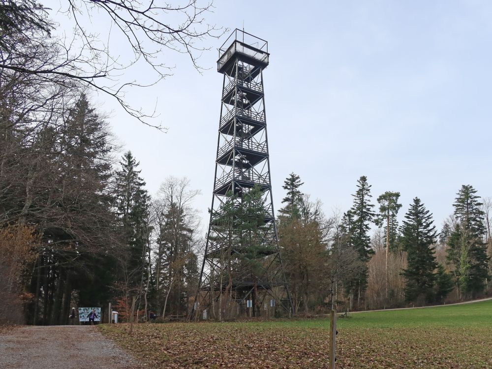 Aussichtsturm Pfannenstiel