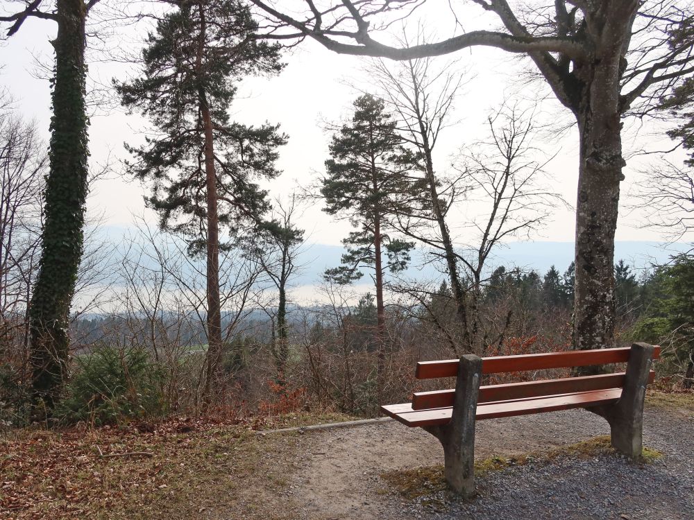 Sitzbank mit Sicht auf Zürichsee
