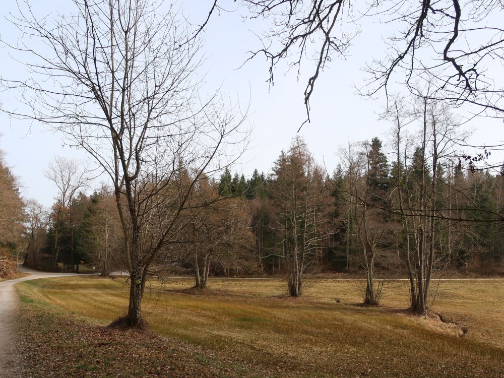 Chüelenmorgen