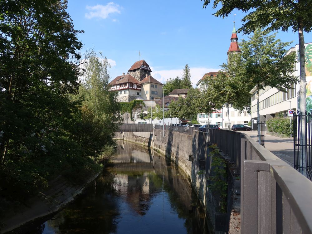 Murg und Schloss Frauenfeld