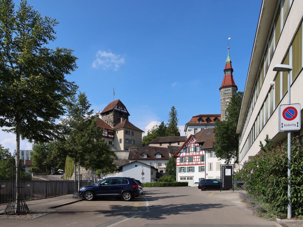 Schloss Frauenfeld und Rathausturm