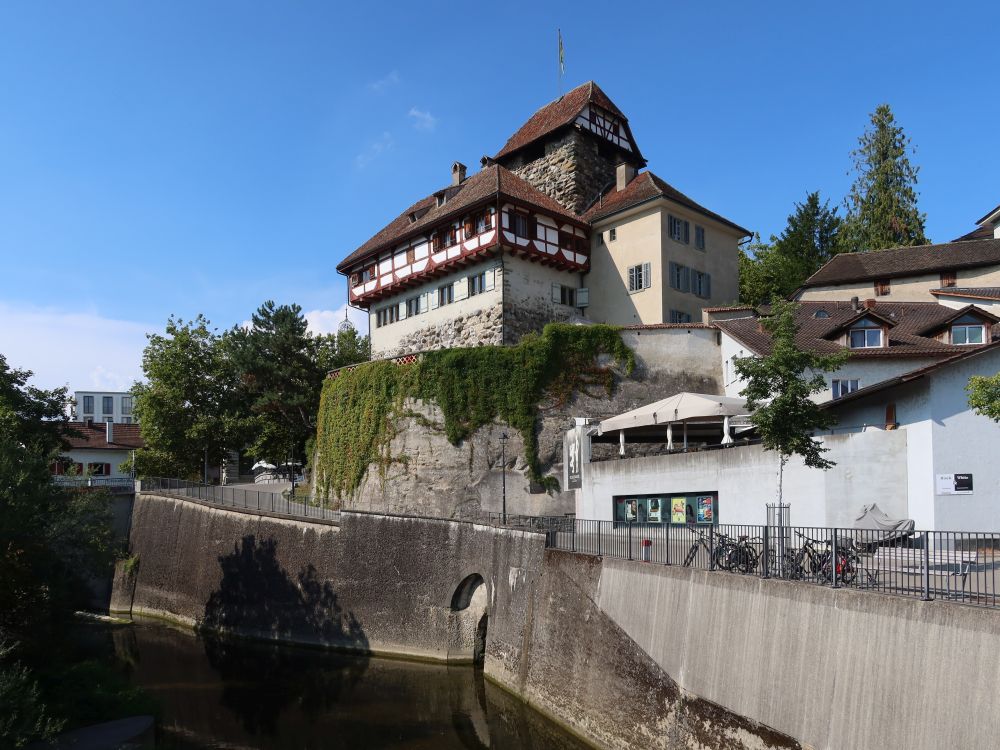 Schloss Frauenfeld