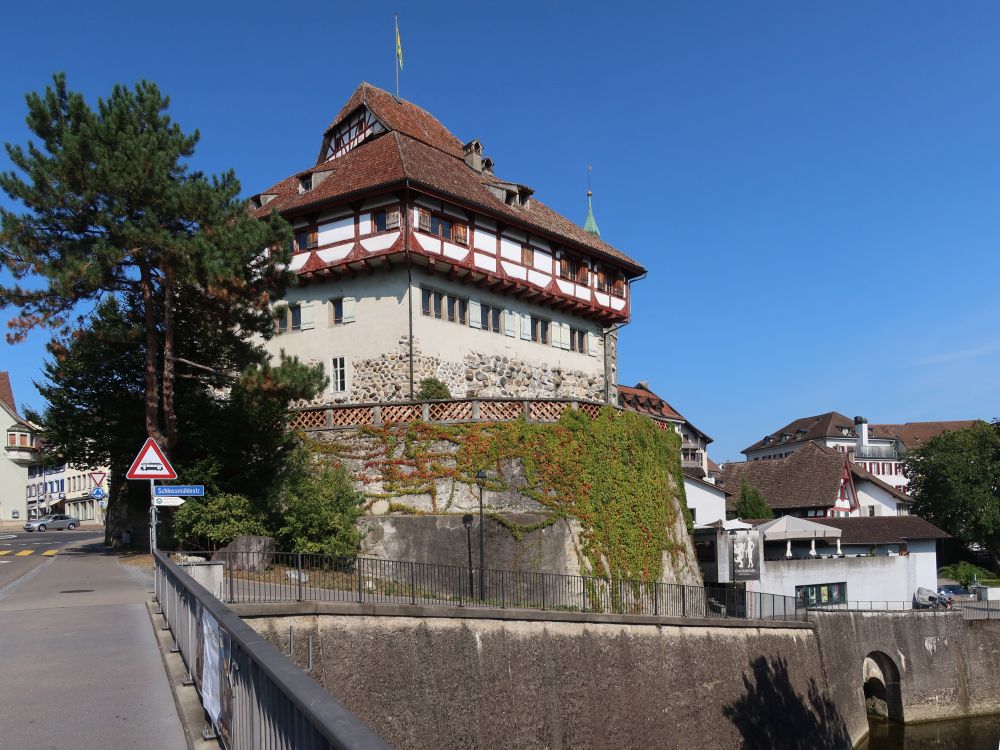 Schloss Frauenfeld