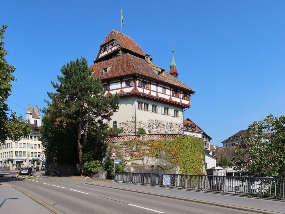 Schloss Frauenfeld