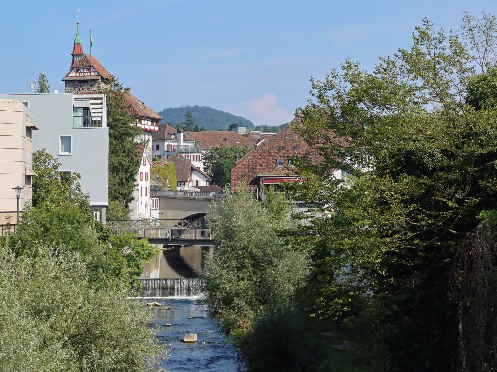 Schloss Frauenfeld und Murg-Brücken