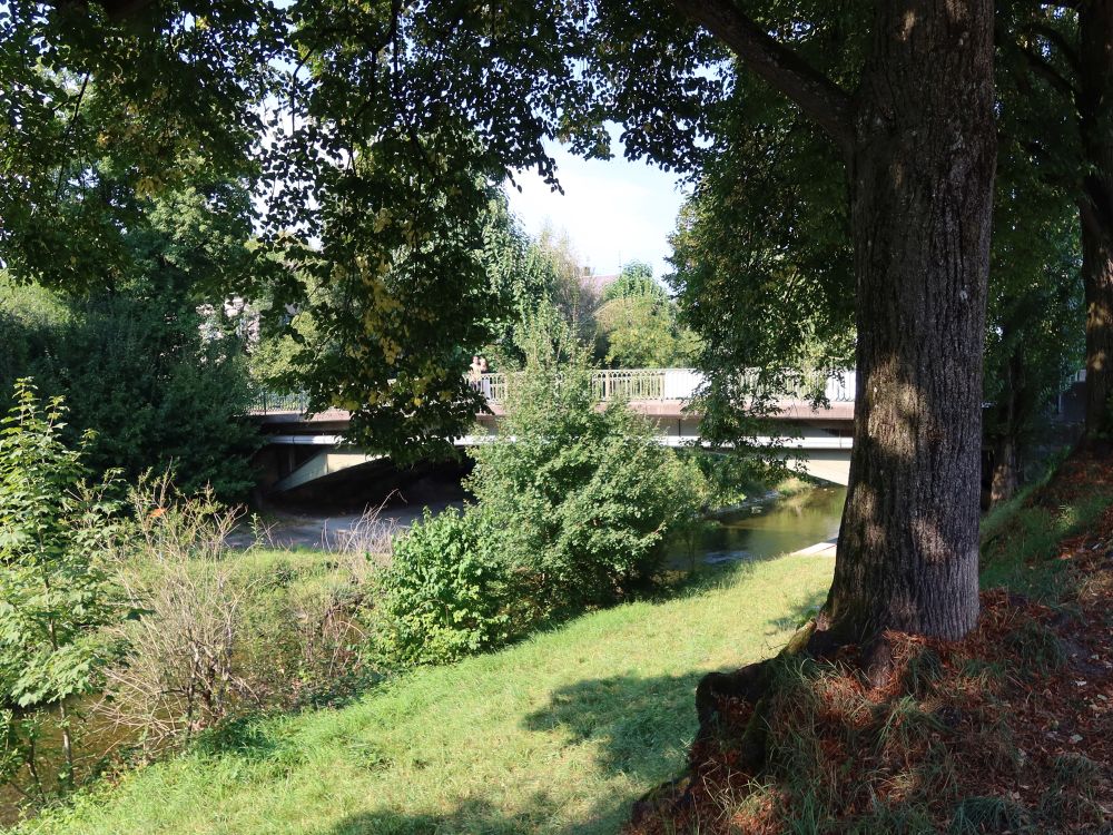 Brücke Rheinstrasse