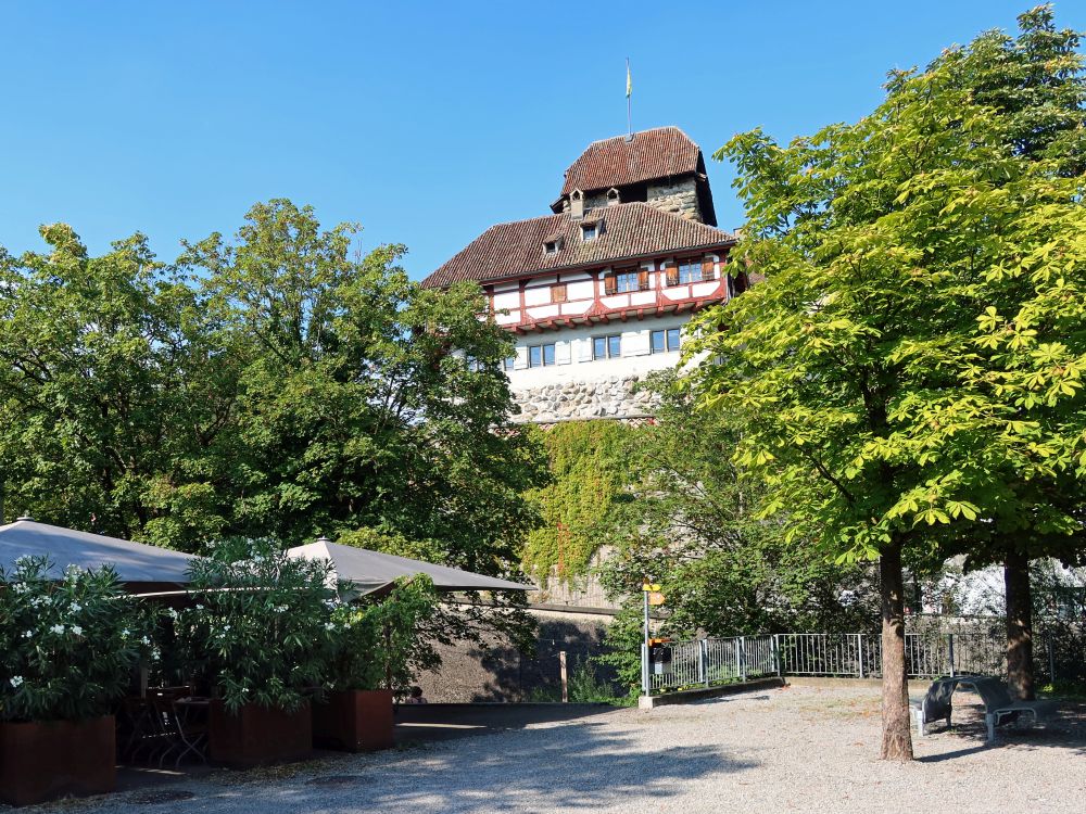 Schloss Frauenfeld