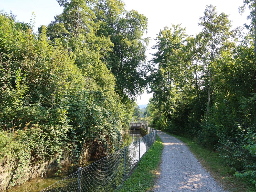 Weg am Böni-Kanal