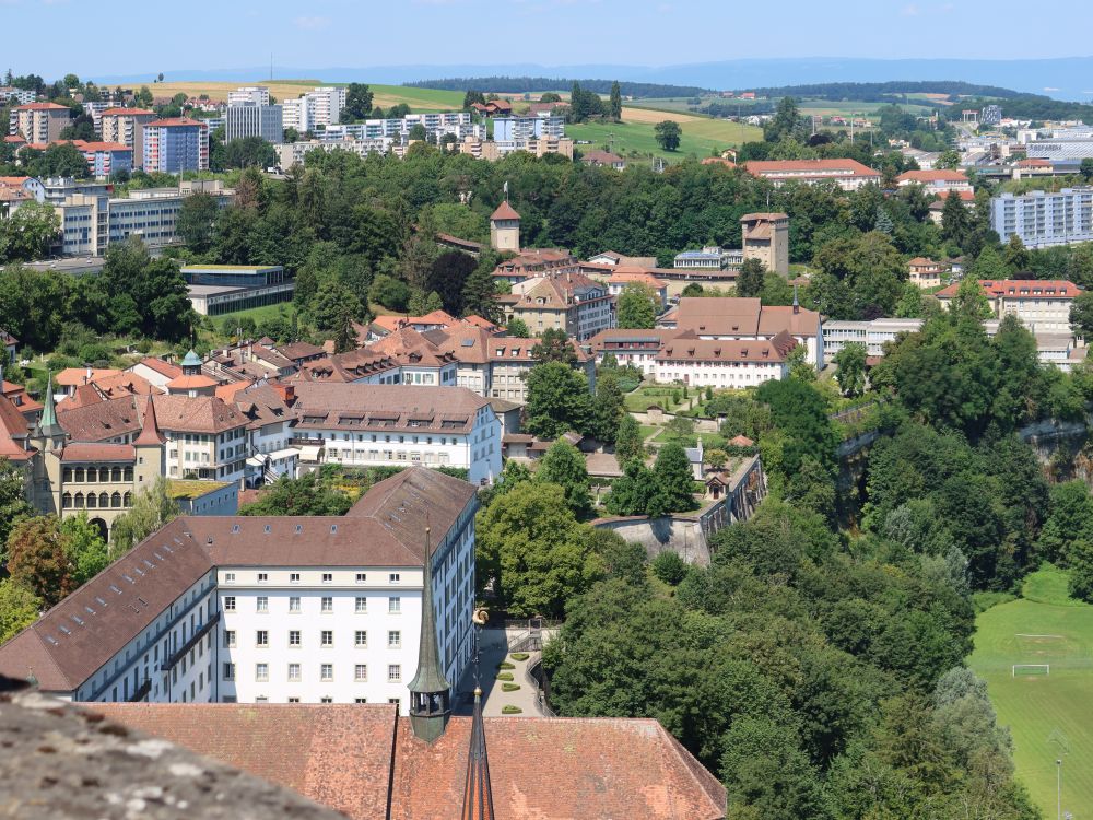 Blick vom Turm der Kathedale