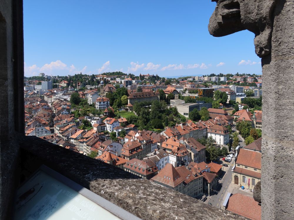 Blick vom Turm der Kathedale