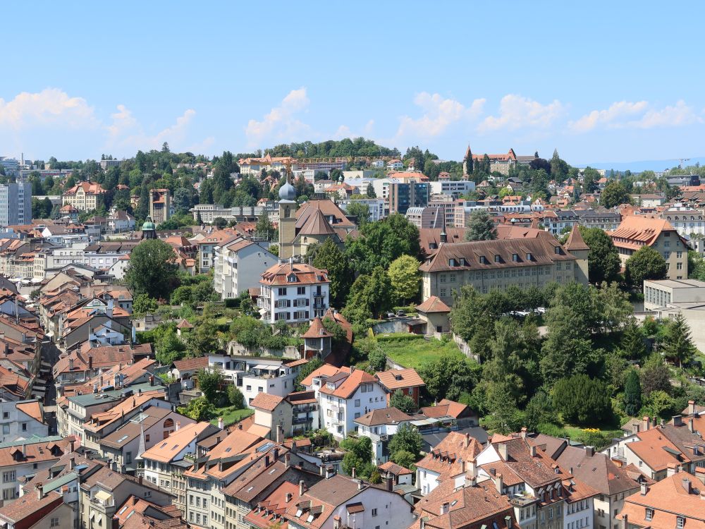 Blick vom Turm der Kathedale