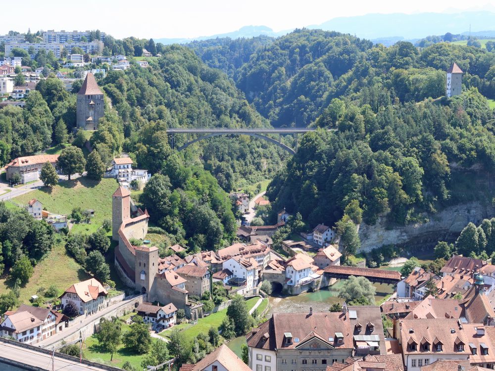 Blick vom Turm der Kathedale