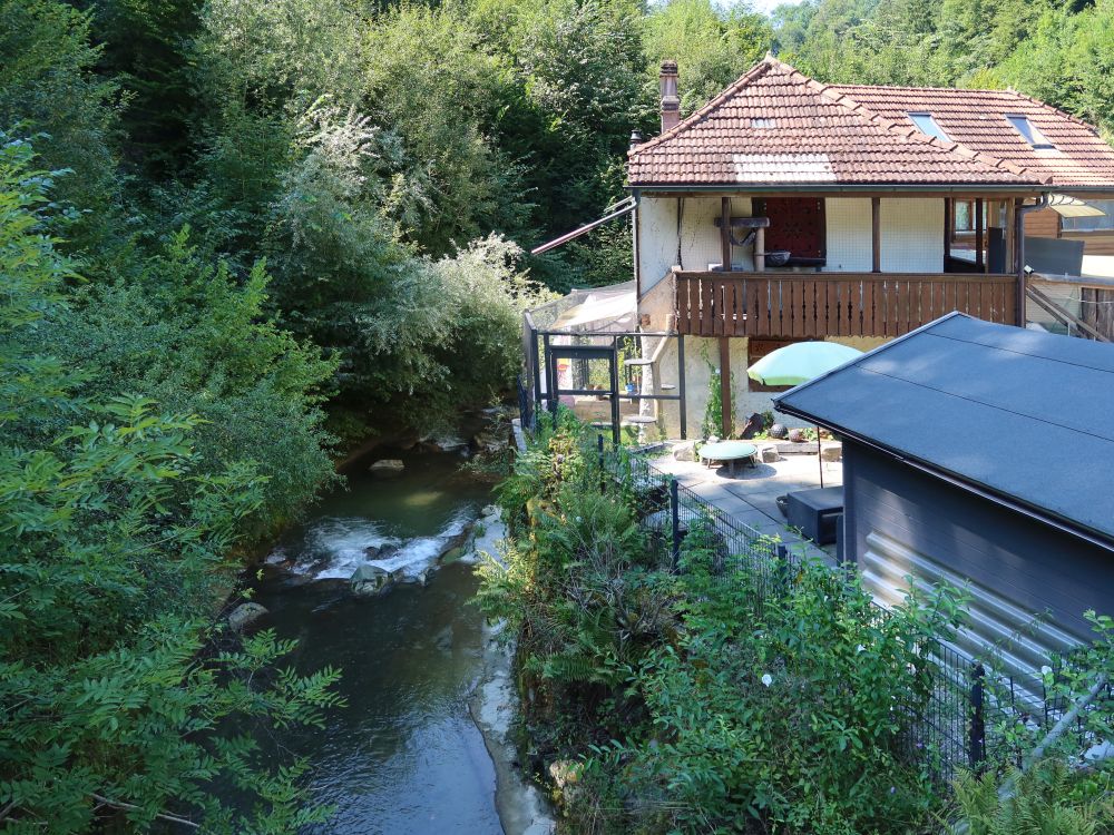 Ameismühle