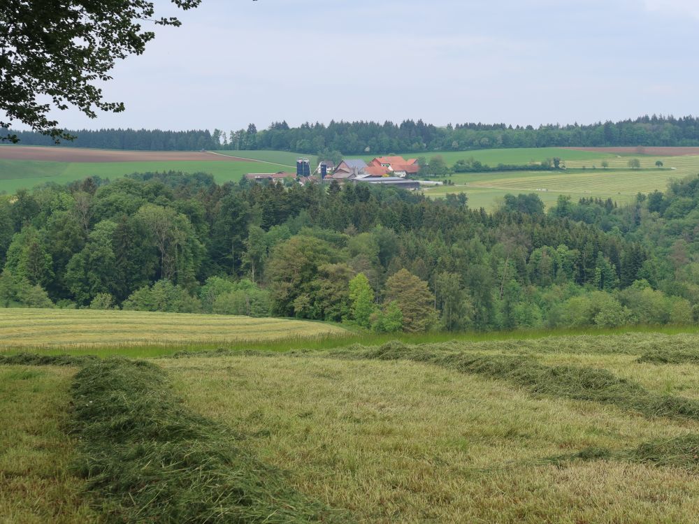 Bauernhof Hinterhueb