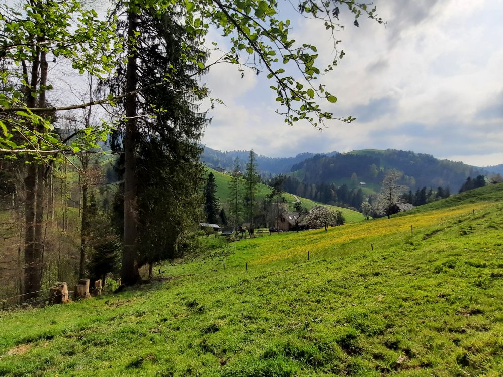 Oberhalb Löchli