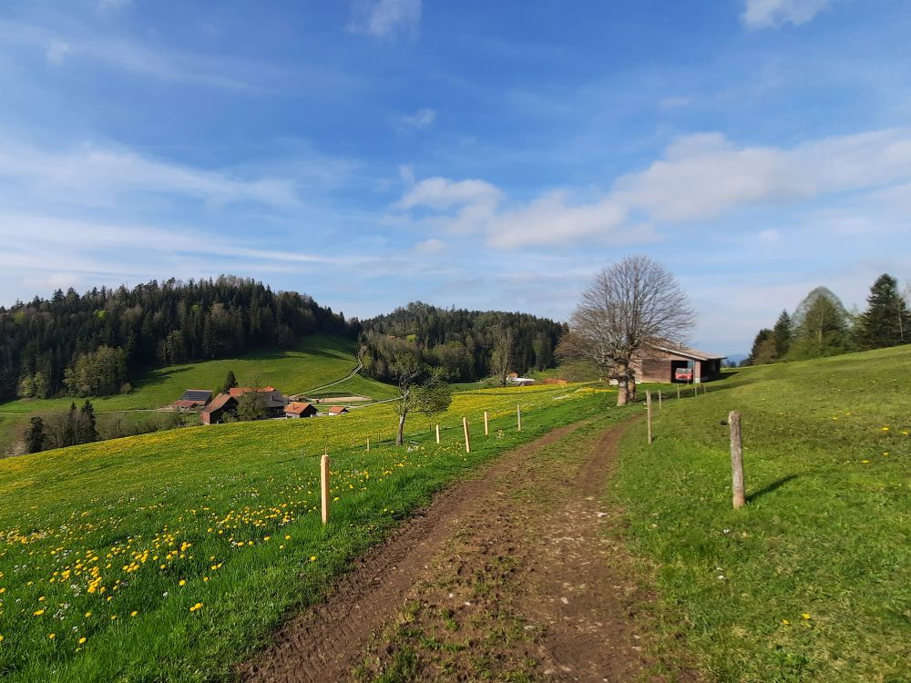 Blick auf Dietenberg