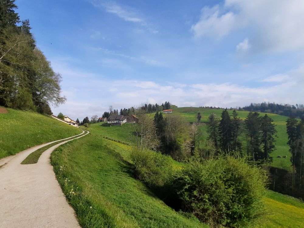Blick Richtung Dietenberg