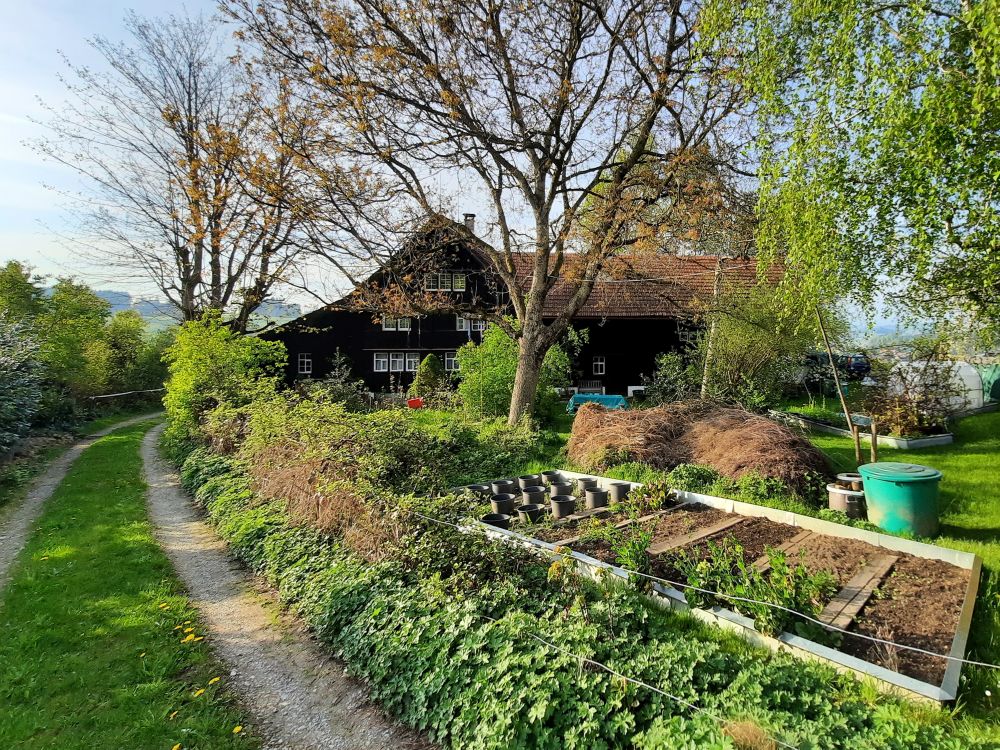 Haus bei Baldenwil