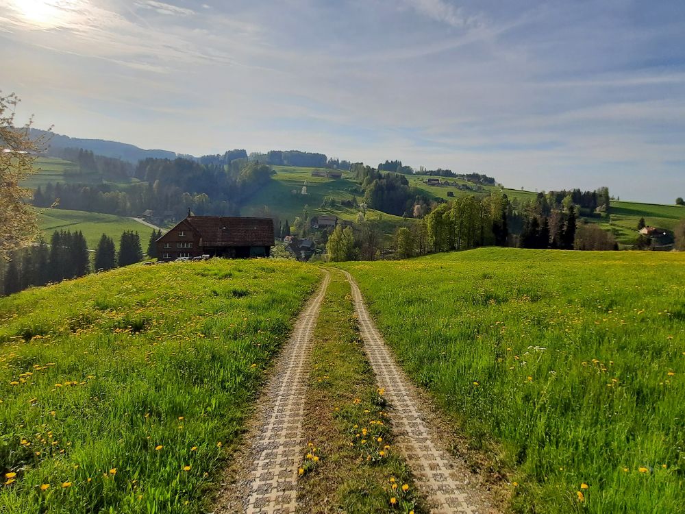 Weg bei Baldenwil