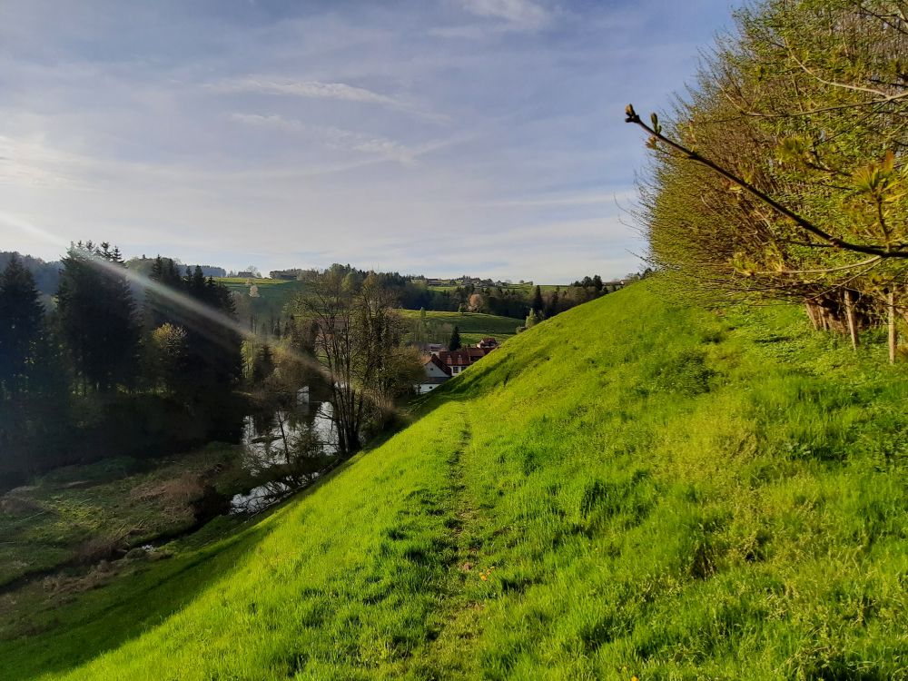 Wiesenpfad überm Wissbach