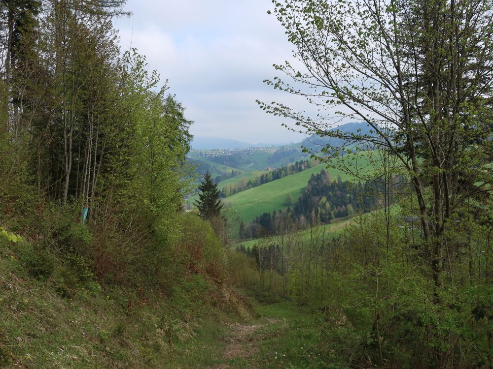 Pfad bei Fuchsacker