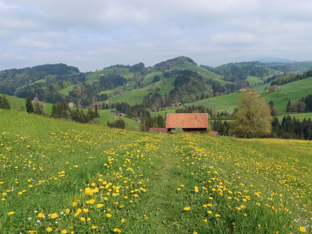 Blick Richtung Rütiberg