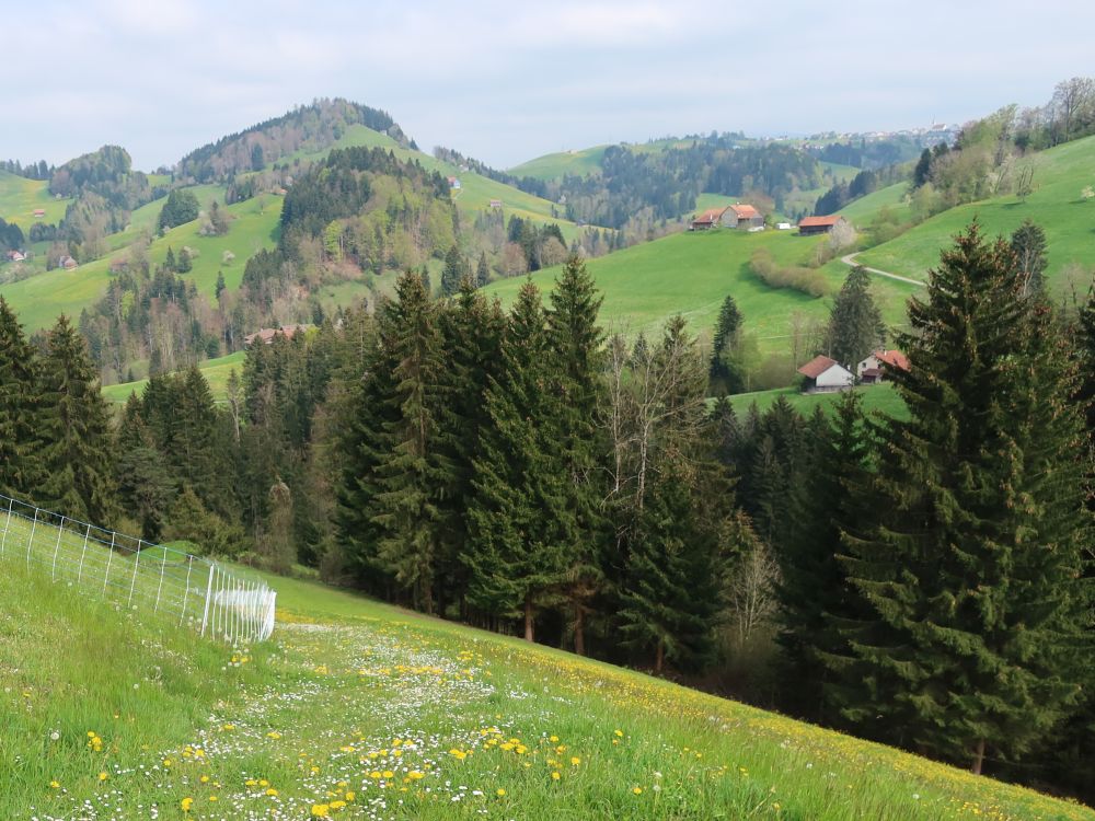 Rütiberg