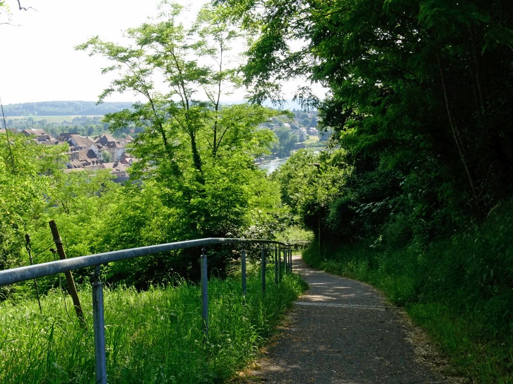 Schneckenbergweg