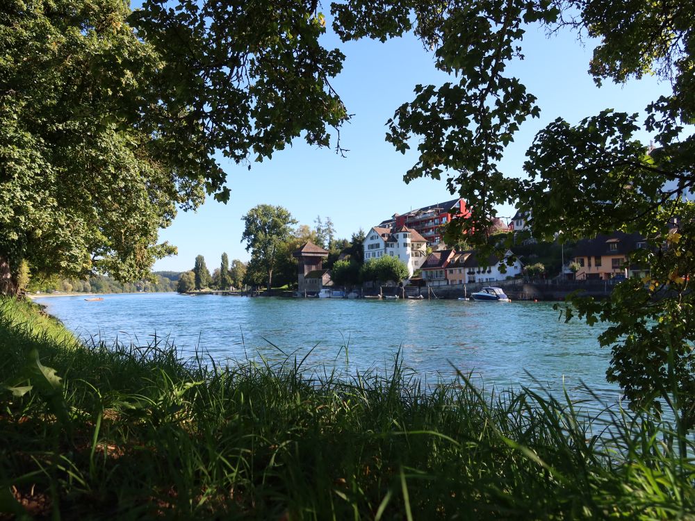 Rhein
