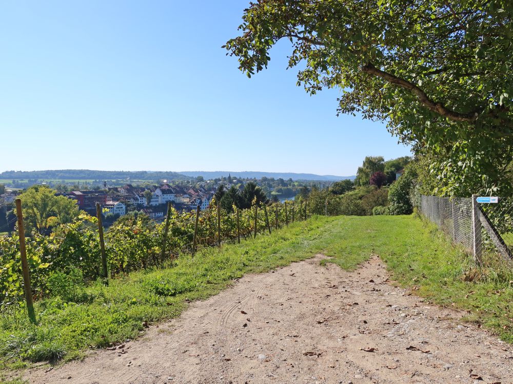 oberhalb Ritterhalde