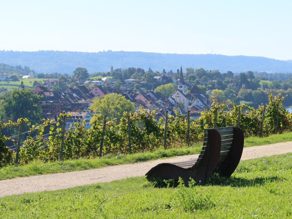 Wellenliege mit Blick auf Diessenhofen