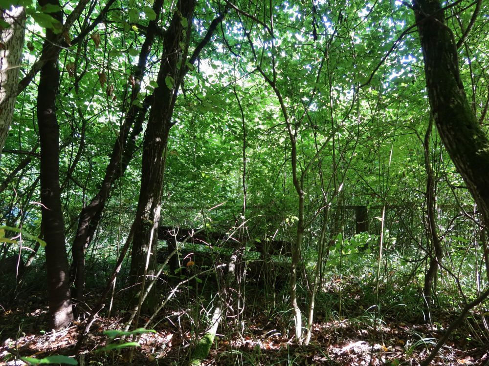 Aussichtspunkt lt. Outdooractive
