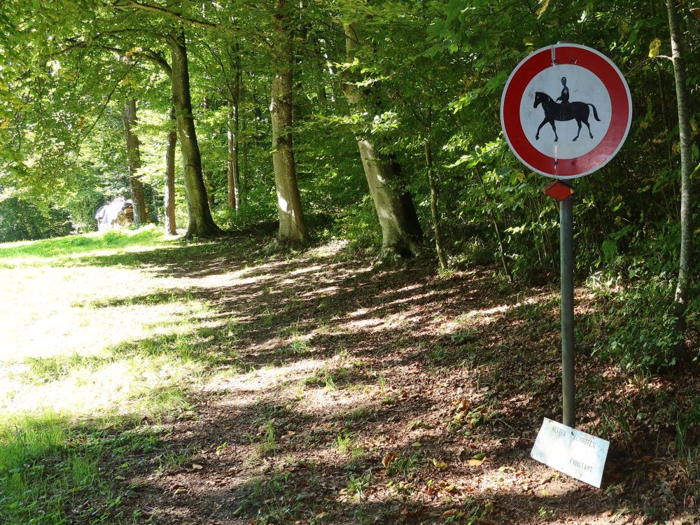 Reitverbot am Waldrand