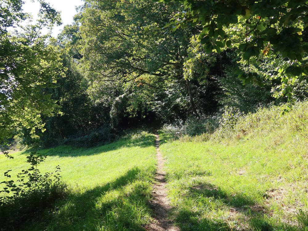 Wiesenpfad (Panoramamweg)