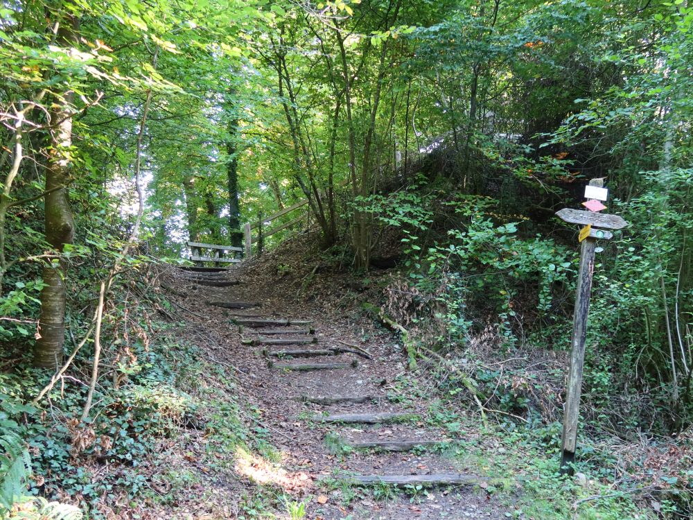 Treppe