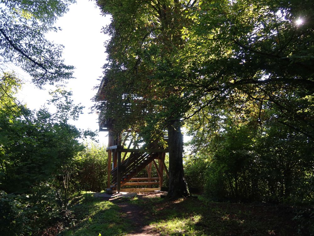 Aussichtsturm Bürglischloss