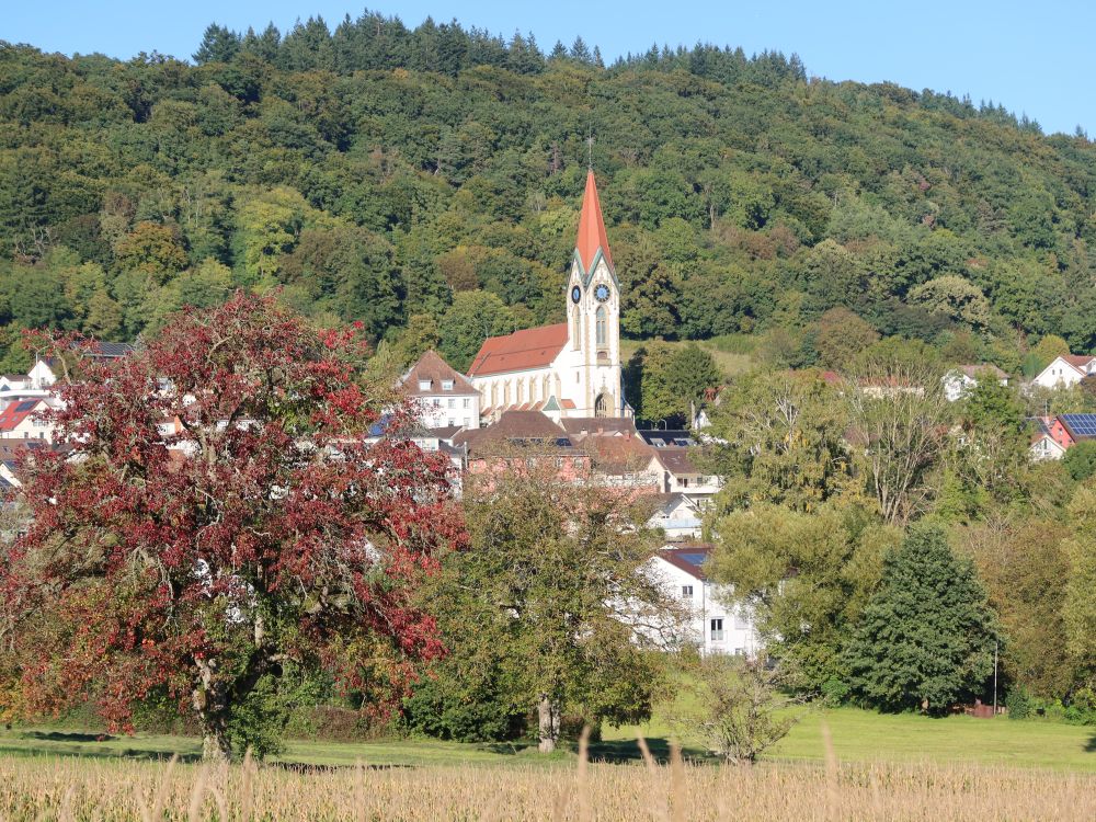 Kirche Gailingen