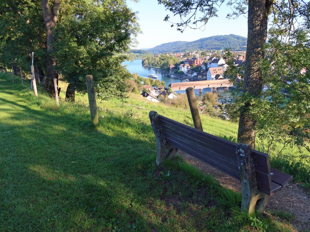Blick auf Rhein mit Holzbrücke