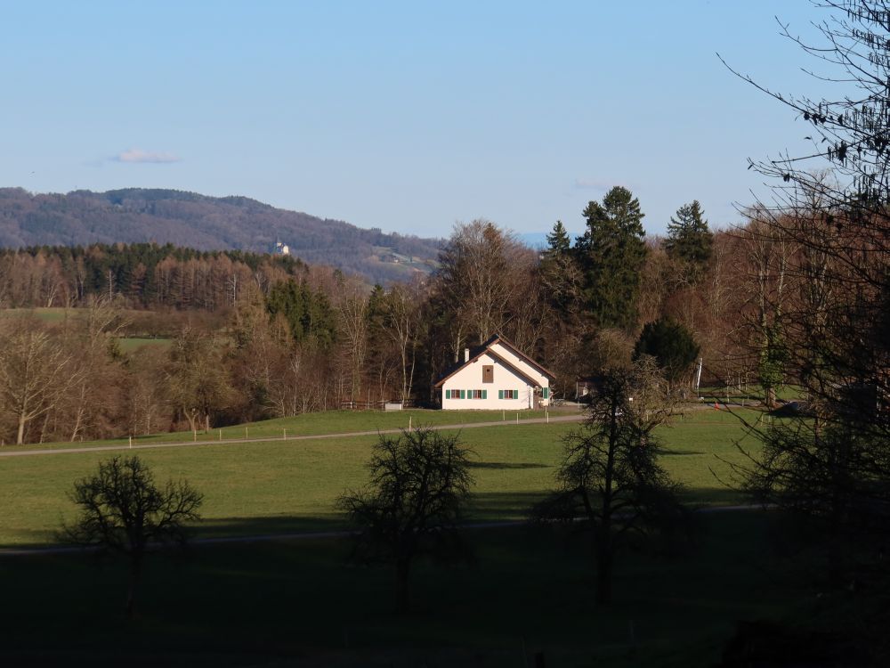 Blick Richtung Schloss Weinfelden