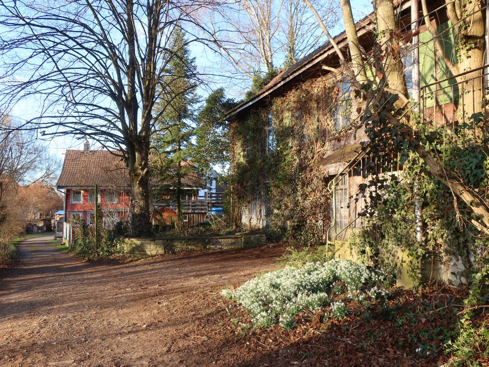 Häuser bei Obermühle