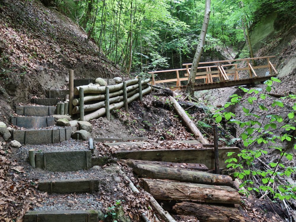 treppe und Holzsteg im Giessbachtobel