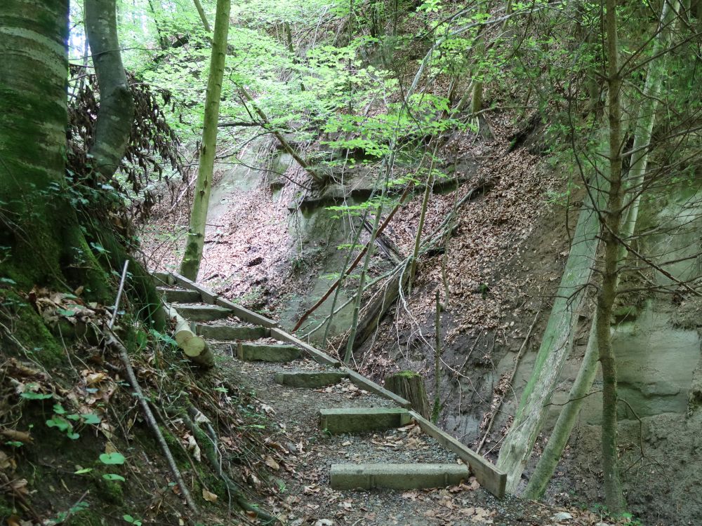 Treppe im Giessbachtobel