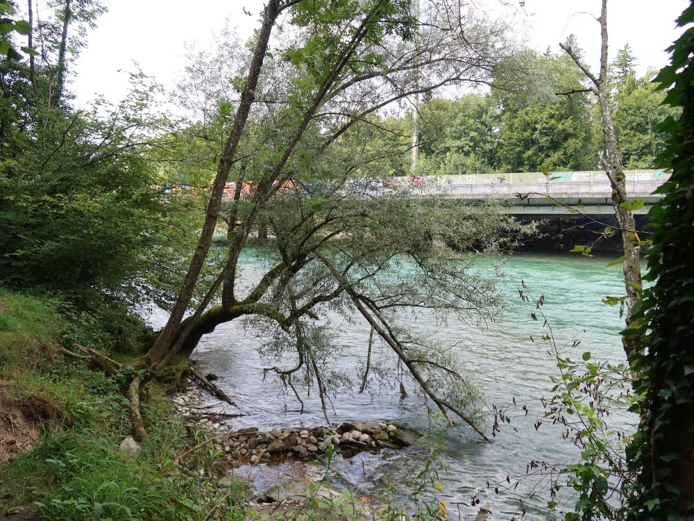 Altwegbrücke