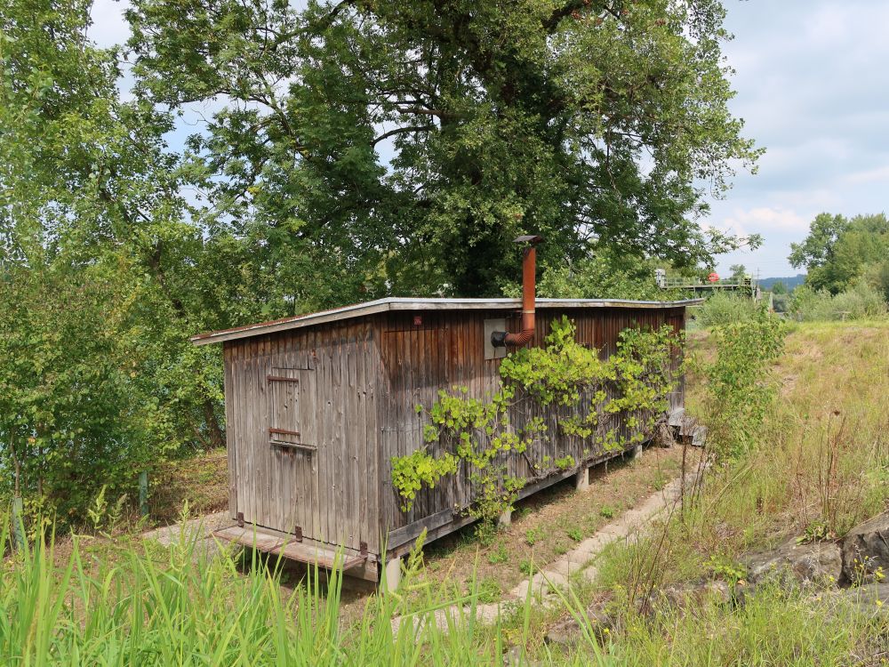 Tinyhouse